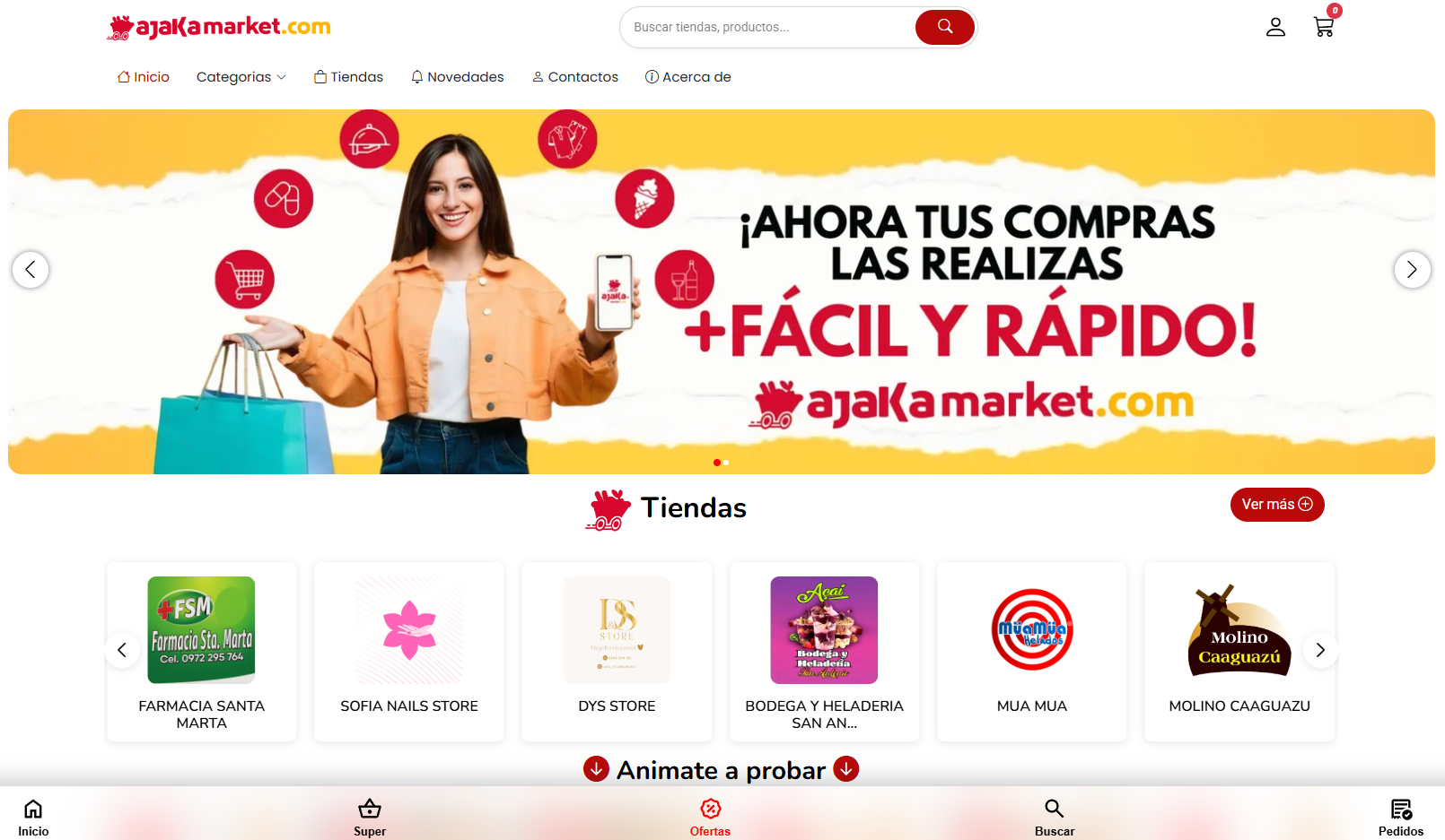 Creative Web Project